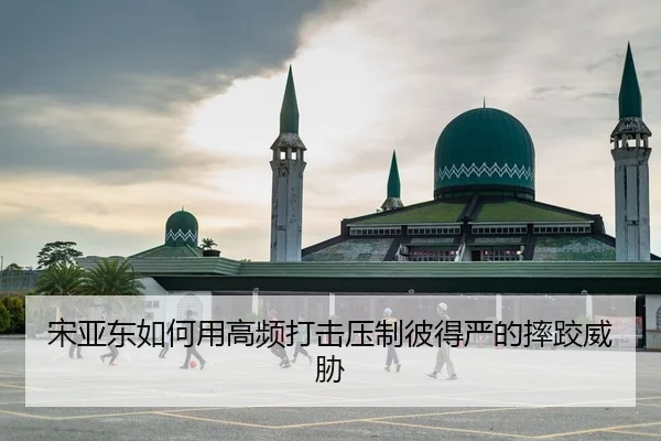 宋亚东如何用高频打击压制彼得严的摔跤威胁